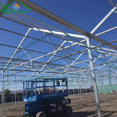 China Plant Growth Light Deprivation Film Blackout Greenhouse for sale