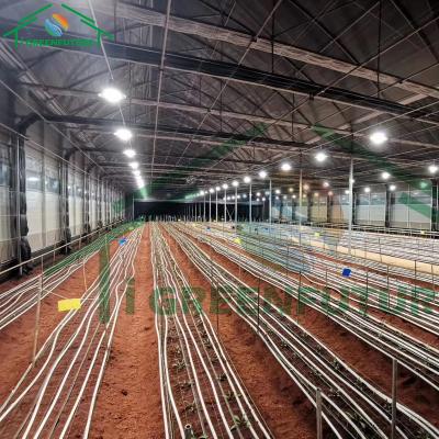 China Plant Growth Automated Light Deprivation Greenhouses for sale