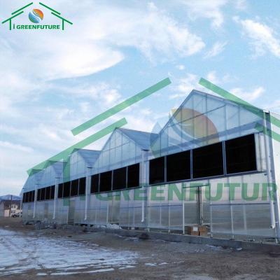 China Plant Growth Arch Shed Pole Bracket Small Seedling Raising And Heat Conservation Agricultural Vegetable Greenhouse for sale