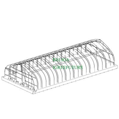 China 100% Plant Growth Blackout Single Span Greenhouse Multispan Agriculture for sale