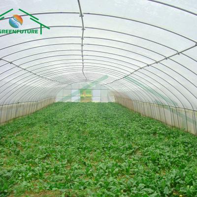 China Stable Structure Easily Assembled Low Cost Single Span Greenhouse Vegetable Grow Tunnel Agricultural Greenhouse for sale