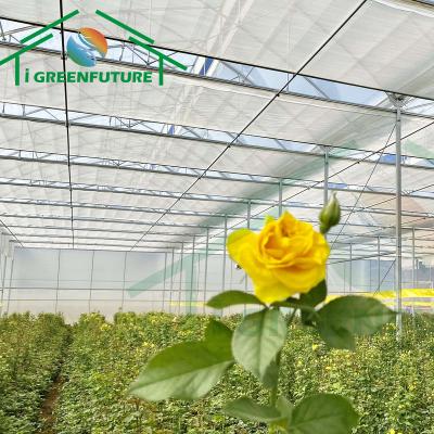 China Stable structure easily assembled low tunnel cheap single-span greenhouse agricultural greenhouse for vegetable greenhouse UV protection film plastic for sale