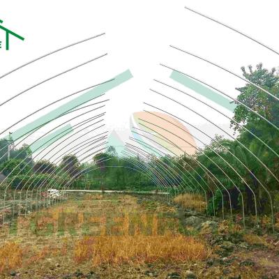 China Stable Structure Easily Assembled Chinese Single Span Vegetable Plastic Tunnel Greenhouse Factory Double Plastic Sheet Greenhouse On Sale for sale