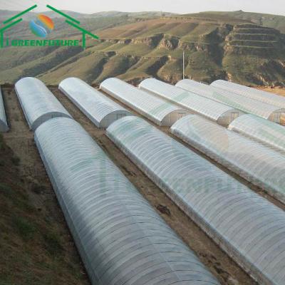 China Stable Structure Easily Assembled Poly Small Tunnel Greenhouse Vegetable Greenhouse Agricultural Greenhouse With Ventilation System for sale