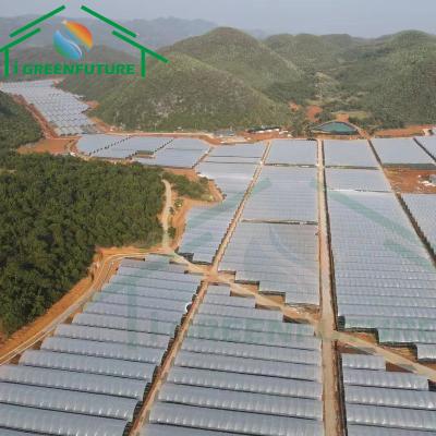 China Stable Structure Easily Assembled Easy Assemble Greenhouse Frame Low Tunnel Greenhouse For Sale Plastic Film Agricultural Greenhouses for sale