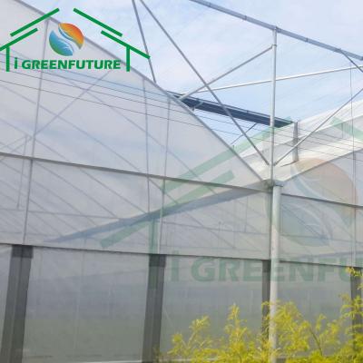 China Stable structure easily assembled plastic sheet greenhouse with cooling system greenhouse accessories for sale for sale