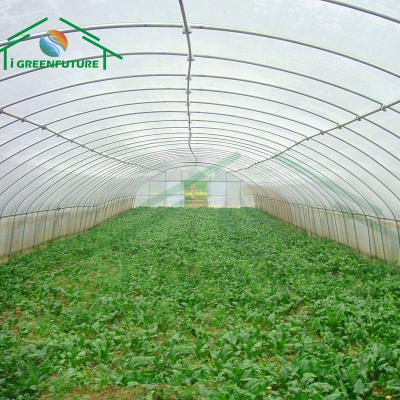 China Stable Structure Easily Assembled Single-Span Agricultural Greenhouse With Clear Sheet Greenhouse Cooling System Plastic Protection Film UV Greenhouse for sale