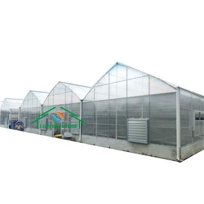 China Stable Structure Easily Assembled Chinese Style Greenhouse With Plastic Sheet Cover Polycarbonate Polycarbonate UV Coating Greenhouse for sale