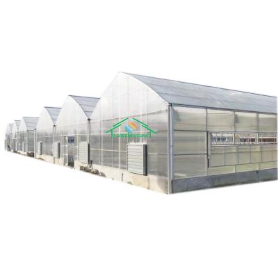 China Stable structure easily assembled plastic PC sheet greenhouse for agricultural fruit single-span multi-span on sale for sale