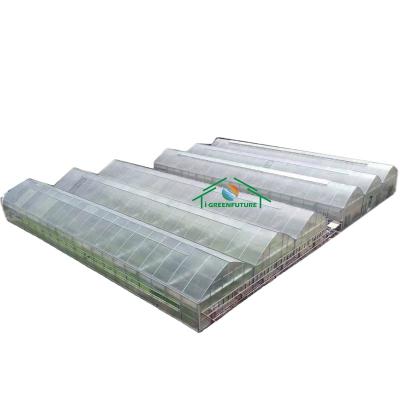 China PC Sheet Polycarbonate Sheet Printed Circuit Board Greenhouse With Complete System for sale