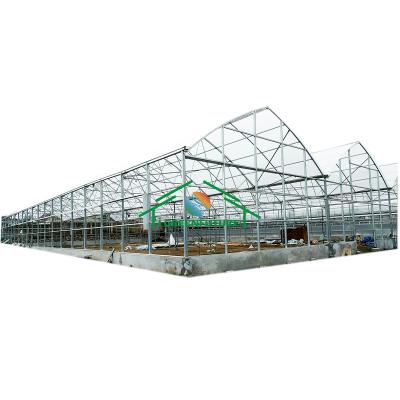 China PC Sheet Agricultural Smart Sunlight Polycarbonate Glass Greenhouse With Hydroponic Frame Accessories Sunlight Vertical for sale