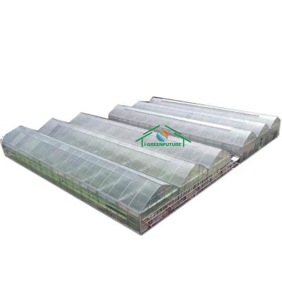 China Stable Structure Easily Assembled Polycarbonate Smart Sheet Agricultural Greenhouses With Climate Control System PC Sheet UV Coating Greenhouse for sale