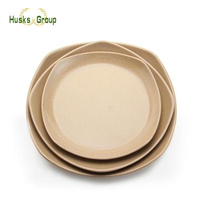 China Sustainable Restaurant Reusable Rice Strips Fiber Dish for sale