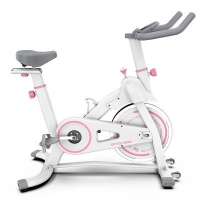 China Home Use Home Exercise Bike Magnetic APP Indoor Quiet Smart Bike Spin Bike for sale