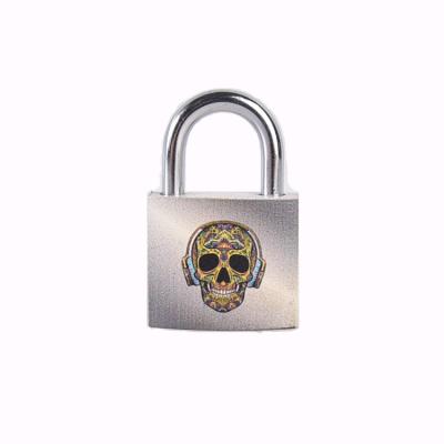 China Best DIY Design Durable High Quality Padlock Wholesale Iron Padlock With Iron Key for sale