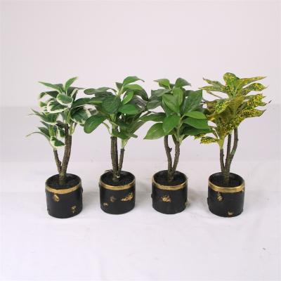 China Wholesale Minimalist OEM Plant Artificial Flower Foliage Plants Bonsai Plant for sale