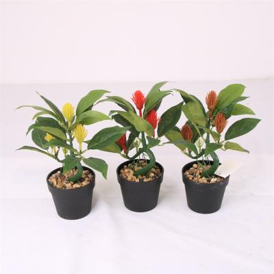 China Minimalist OEM Decorative Small Mini Artificial Bonsai Plant Plant for sale