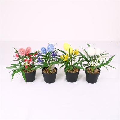 China Hot Selling Minimalist Plant Green Decoration Plants Small Plant Artificial Real Tree Bonsai For Decoration for sale