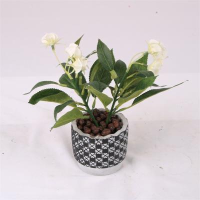 China Minimalist OEM Decorative Small Mini Artificial Bonsai Plant Plant for sale