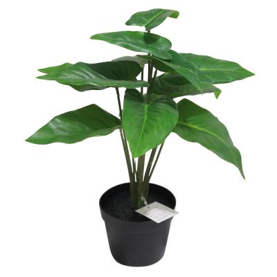 China Factory Good Quality 12 Hands Wholesale Minimalist Leaf Artificial Calla Tree For Home Indoor And Outdoor Decoration for sale