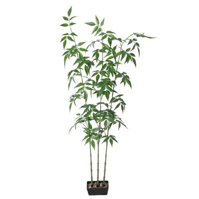 China Wholesale Minimalist Artificial Plant 1.8M Bamboo Bonsai Plant Green Artificial Plant For Indoor And Outdoor Home Decoration for sale