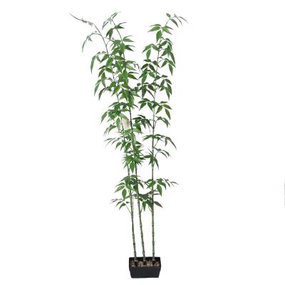 China Wholesale Minimalist Indoor/Outdoor Artificial Decoration 1.4M Bamboo Succulent Bonsia Plants For Home And Garden Decoration for sale