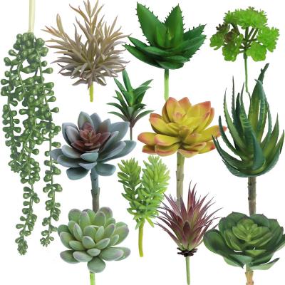 China Contemporary Artificial Succulent Plant 12 Set For Home Indoor Decoration for sale