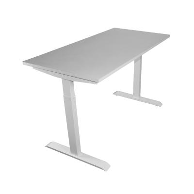 China High Quality Adjustable Standing View Factory Automatic Computer (Height) Adjustable Desk Table for sale