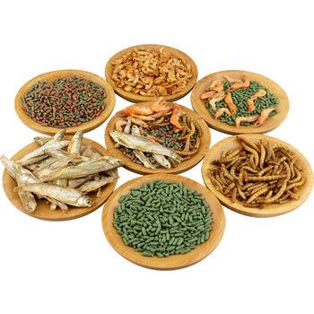 China Sustainable Turtle Food Dried Mealworm Shrimp Fish Turtle Sun Dried Food for sale