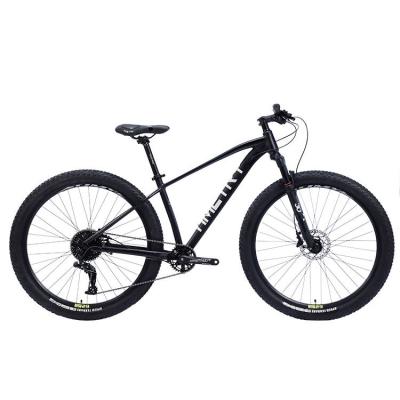 China Aluminum Alloy New Product 29 Inch 10 Speed ​​Disc Brake Mountain Bike Mechanical Bicycle for sale