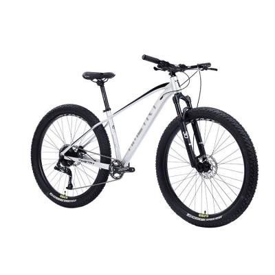 China Big Tire Men's Mountain Bike Bicycle Professional Aluminum Alloy Fat Tender Bicycle for sale