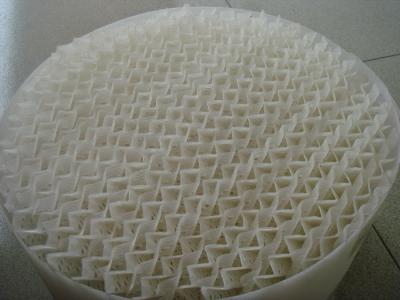 China Plastic Structured Tower Packings,Corrugated Plate Packing,Plastic Knitted Gauze Packings for sale