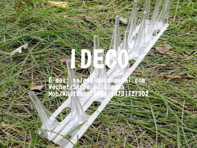 China Full Plastic Bird Spikes, Polycarbonate Bird Control Spikes, Pigeon Deterrent Spikes, Anti-Birds Barrier Transparent for sale