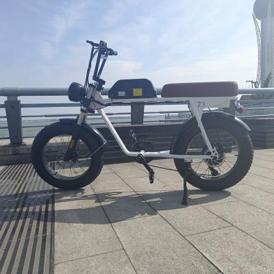 China 500w 750w 1000w steel electric bike for sale