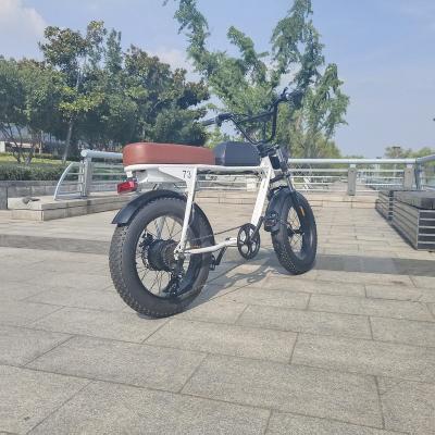 China 2022 New Steel Electric Bike for sale