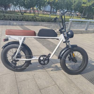 China New 2022 Steel High Power EBIKE Leisure 1000w Urban Electric Bicycle Fat Tire Motor for sale