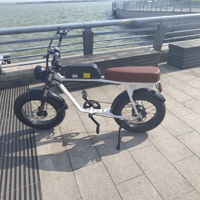 China CE Certification 48v 1000w Steel Electric Bike for sale