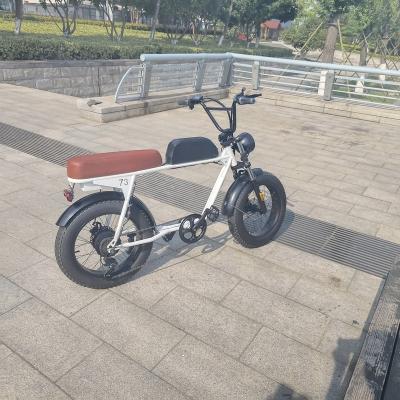 China steel fat tire bicycle/snow electric bike for sale