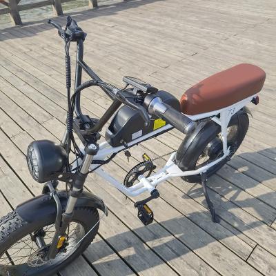 China New Product Mountain Steel Ebike for sale