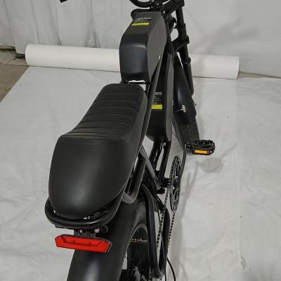 China Folding Ebike Aluminum Alloy Frame Steel Controller Ebike for sale