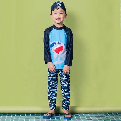 China AOSHILI Eco-friendly 2021 Summer Hot Sale Child Swimwear Boy Swimwear Children Models Swimwear Kids Swimwear for sale