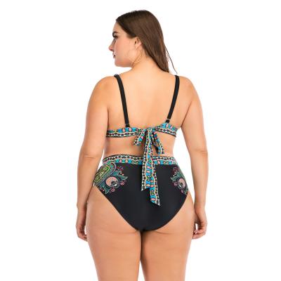 China New Style Breathable Custom Made Beach Wear Luxury Swimwear Plus Size Bikini For Fat Women for sale