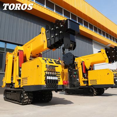 China 1 Ton Spider Crawler Crane Tracked Mini Crane High Performance for sale