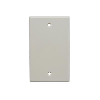 China Easy Installation Plastic Wall Plate Faceplate Telephone Outlet Cover Empty Wall Electrical Switch Plate for sale