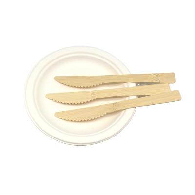 China Eco-Friendly Hot Selling Disposable Cake Craft Cake Knives Portable Daily Disposable Bamboo Biodegradable Tableware Knifes for sale