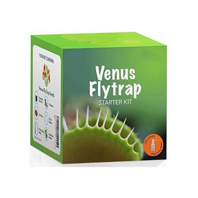 China American style flytrap planting children's scientific observation set to improve children's fun Christmas gifts flytrap kit for sale