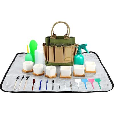 China American Style 42 Pieces Succulent Tool Kit With Bag Kit Bonsai Tools Set Flower Pot Succulent Set for sale