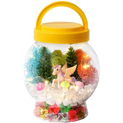 China ABS Mini Greenhouse Kit For Girls Stuff Bedroom Decor Kid's Dream Kit DIY Toy Craft Nightlight Gift Unicorn for sale