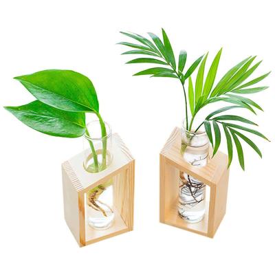 China Flower Bud Tabletop Glass Wooden Art Deco Desktop Plants Tube Stand Perfect Test for Propagating Hydroponics for sale