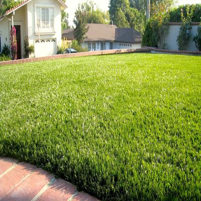 China Highest Quality Garden Rooftop And Garden Grass Artificial Artificial Grass Factory In China for sale